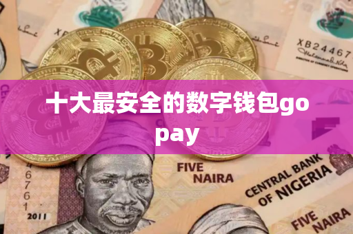 十大最安全的数字钱包gopay