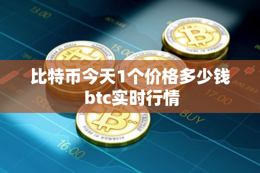 比特币今天1个价格多少钱 btc实时行情