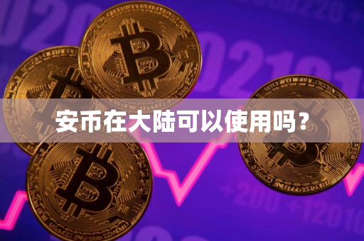 安币在大陆可以使用吗？
