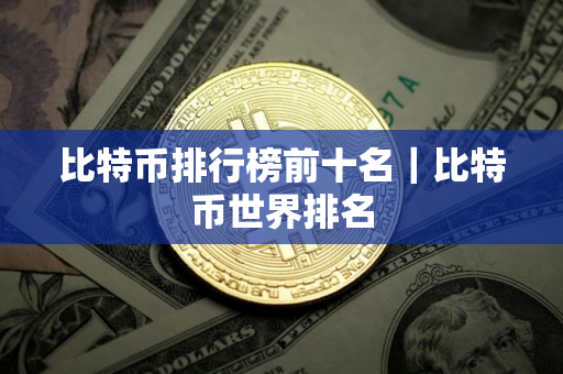 比特币排行榜前十名｜比特币世界排名
