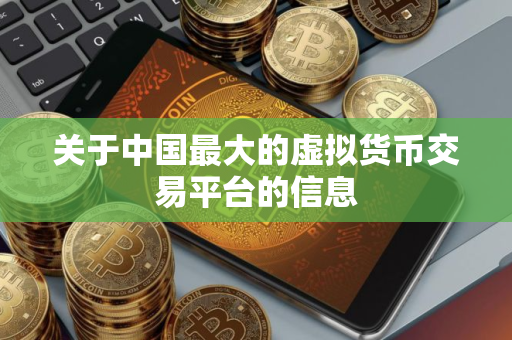 关于中国最大的虚拟货币交易平台的信息