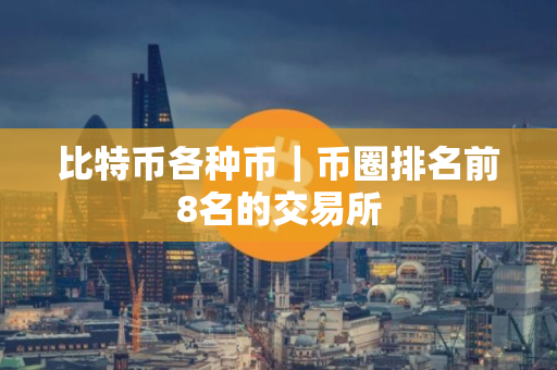 比特币各种币｜币圈排名前8名的交易所