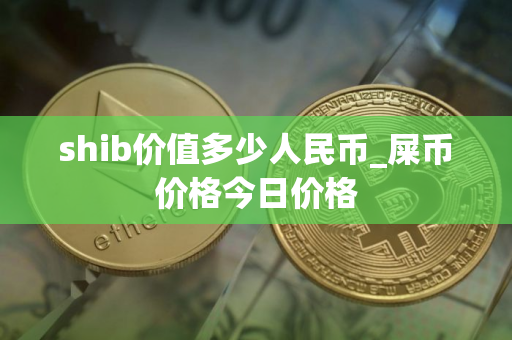 shib价值多少人民币_屎币价格今日价格