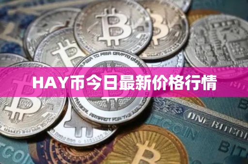 HAY币今日最新价格行情