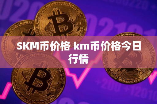 SKM币价格 km币价格今日行情