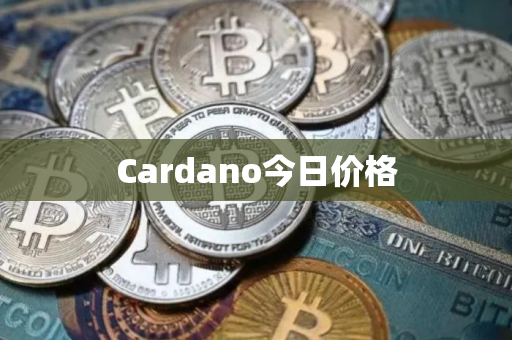Cardano今日价格