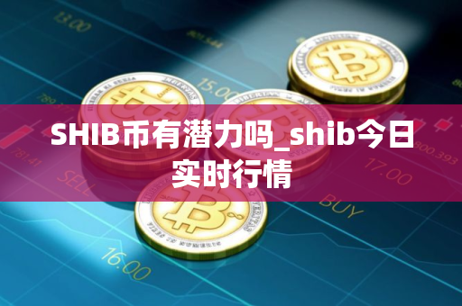 SHIB币有潜力吗_shib今日实时行情