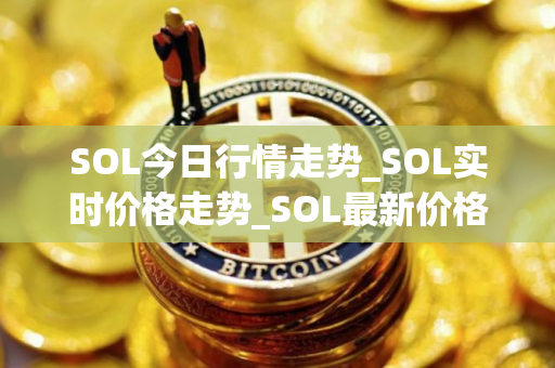 SOL今日行情走势_SOL实时价格走势_SOL最新价格