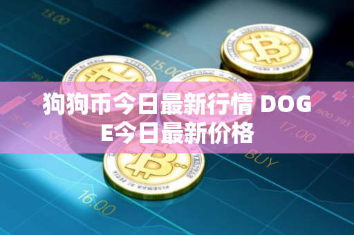 狗狗币今日最新行情 DOGE今日最新价格