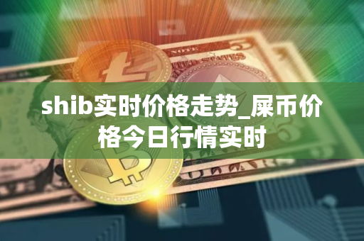 shib实时价格走势_屎币价格今日行情实时