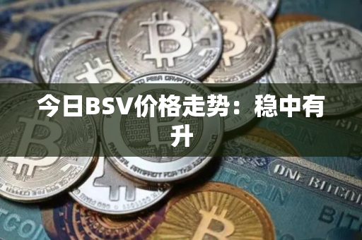 今日BSV价格走势：稳中有升