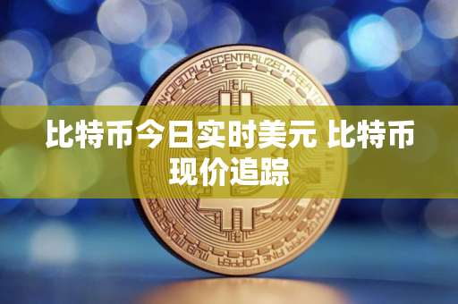 比特币今日实时美元 比特币现价追踪