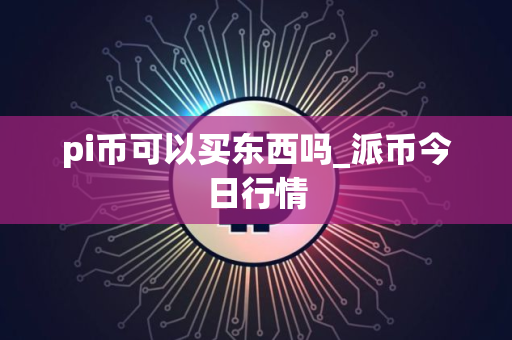 pi币可以买东西吗_派币今日行情