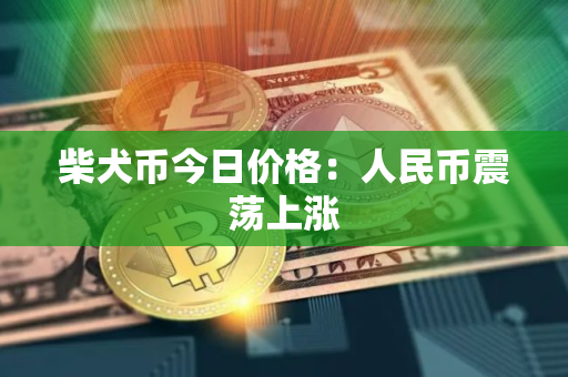 柴犬币今日价格：人民币震荡上涨