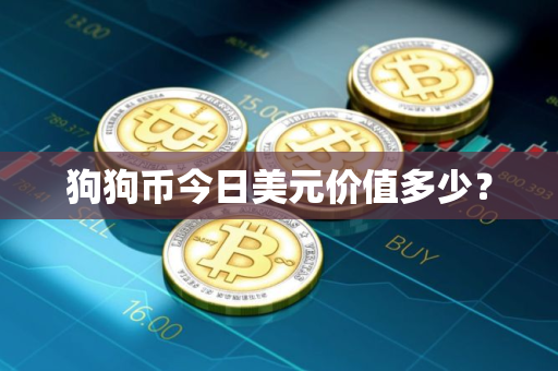 狗狗币今日美元价值多少？