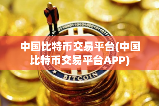中国比特币交易平台(中国比特币交易平台APP)