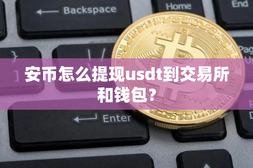 安币怎么提现usdt到交易所和钱包？
