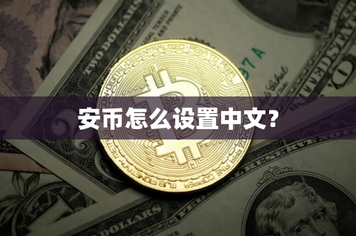 安币怎么设置中文？