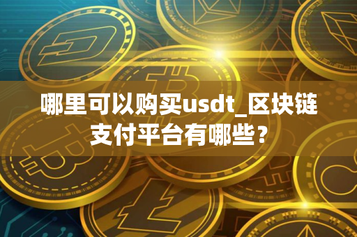 哪里可以购买usdt_区块链支付平台有哪些？