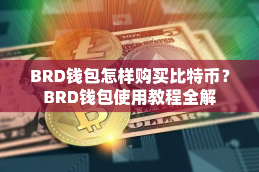 BRD钱包怎样购买比特币？BRD钱包使用教程全解