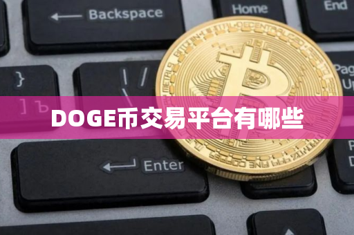 DOGE币交易平台有哪些