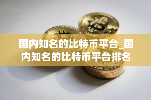国内知名的比特币平台_国内知名的比特币平台排名