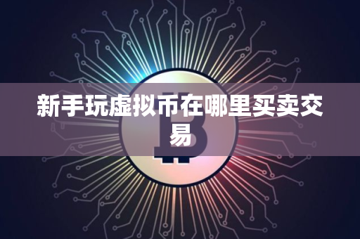 新手玩虚拟币在哪里买卖交易