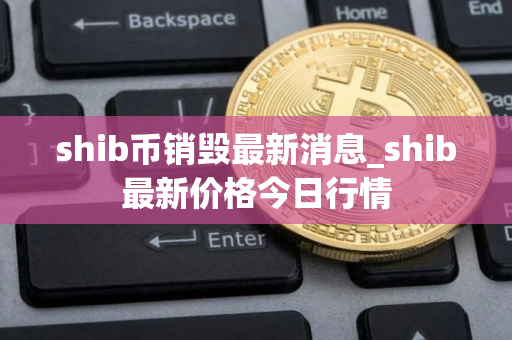 shib币销毁最新消息_shib最新价格今日行情