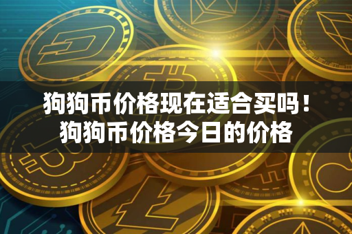 狗狗币价格现在适合买吗！狗狗币价格今日的价格