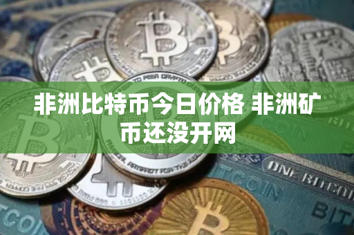 非洲比特币今日价格 非洲矿币还没开网