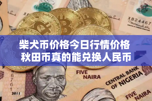 柴犬币价格今日行情价格 秋田币真的能兑换人民币