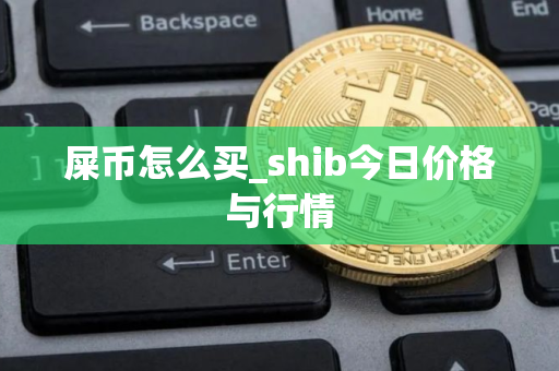 屎币怎么买_shib今日价格与行情
