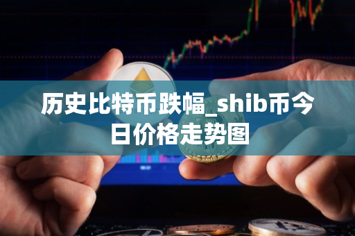 历史比特币跌幅_shib币今日价格走势图