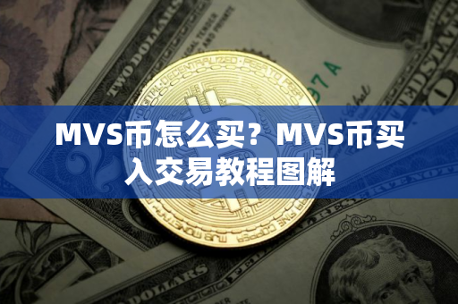 MVS币怎么买？MVS币买入交易教程图解