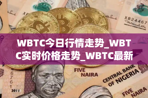 WBTC今日行情走势_WBTC实时价格走势_WBTC最新价格