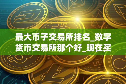 最大币子交易所排名_数字货币交易所那个好_现在买币用什么软件