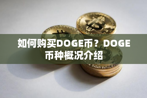 如何购买DOGE币？DOGE币种概况介绍