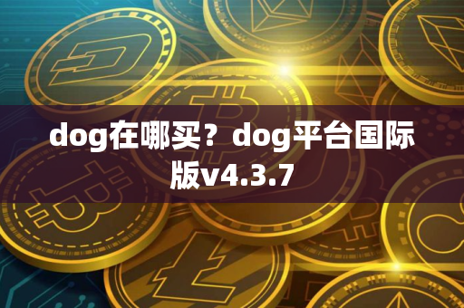 dog在哪买？dog平台国际版v4.3.7