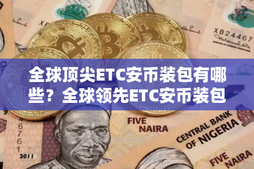 全球顶尖ETC安币装包有哪些？全球领先ETC安币装包市场占有率排名