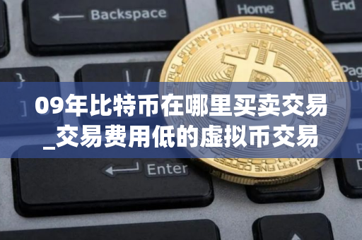 09年比特币在哪里买卖交易_交易费用低的虚拟币交易所排名合集