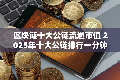 区块链十大公链流通市值 2025年十大公链排行一分钟了解公链