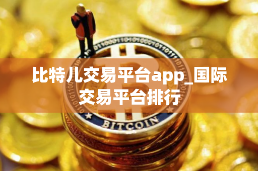 比特儿交易平台app_国际交易平台排行