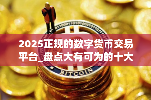 2025正规的数字货币交易平台_盘点大有可为的十大数字货币交易所