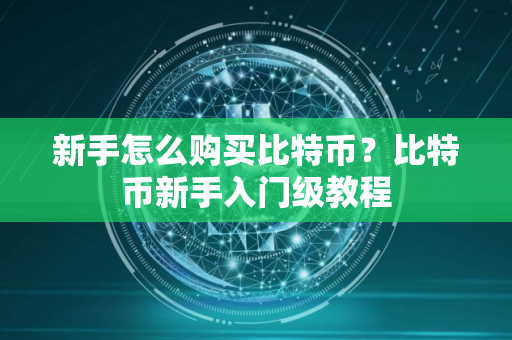 新手怎么购买比特币？比特币新手入门级教程