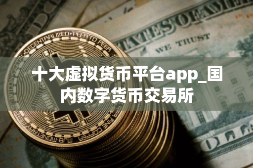 十大虚拟货币平台app_国内数字货币交易所