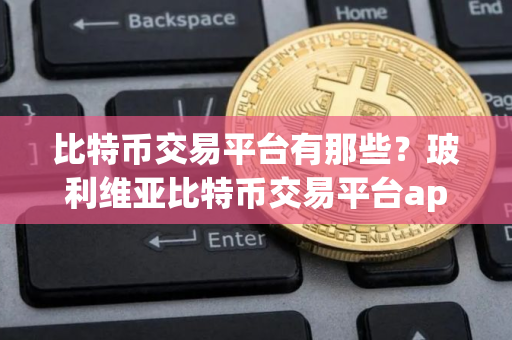 比特币交易平台有那些？玻利维亚比特币交易平台app