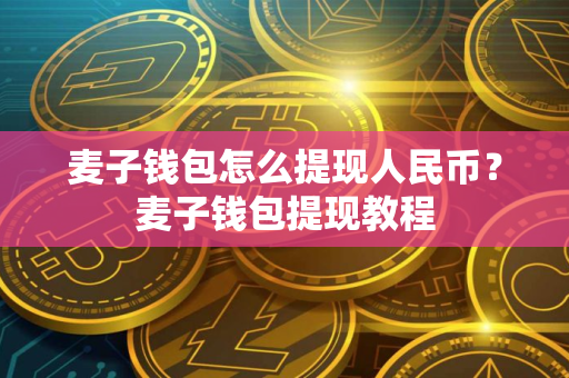 麦子钱包怎么提现人民币？麦子钱包提现教程