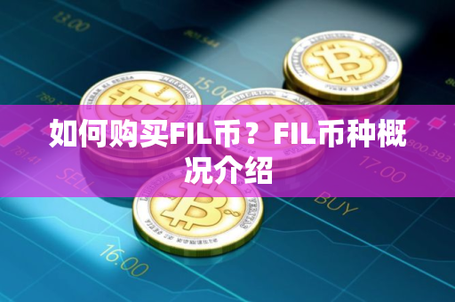 如何购买FIL币？FIL币种概况介绍