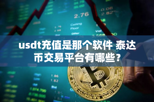usdt充值是那个软件 泰达币交易平台有哪些？