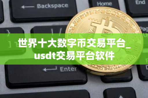 世界十大数字币交易平台_usdt交易平台软件